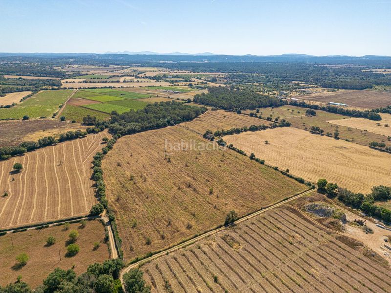Foto b6fbfa2e-08d7-4124-bf7d-065775140f75. Finca rústica a Sencelles