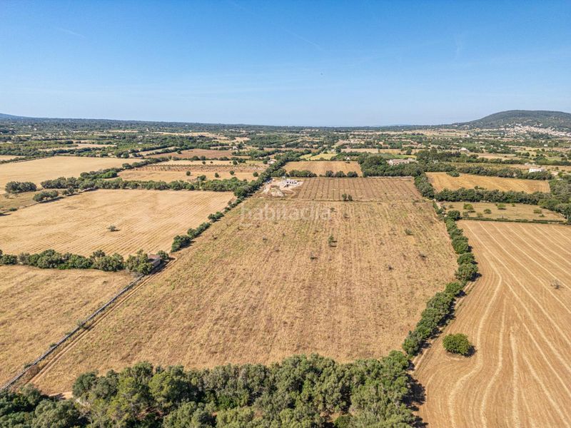 Foto bf875973-b29d-4616-95ac-a0d38a30d020. Finca rústica a Sencelles