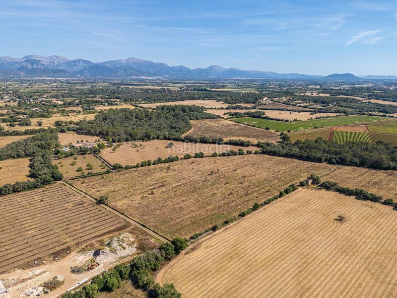 Foto f6cbbc1a-5639-4992-88cd-e52ac354b7d2. Finca rústica a Sencelles
