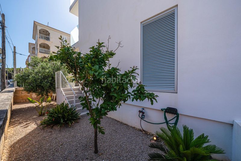 Foto 7537ed95-7aa0-4058-9fa3-fcafcbd96d45. Planta baixa a Cala Ratjada Capdepera