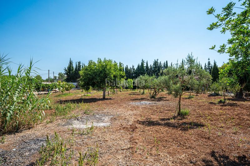 Foto 00eb9263-005c-46e7-8b5e-26a06631e64d. Masia a Algaida