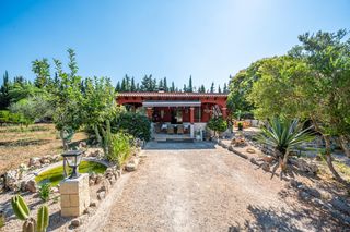 Bauernhof in Algaida. Finca rústica en algaida