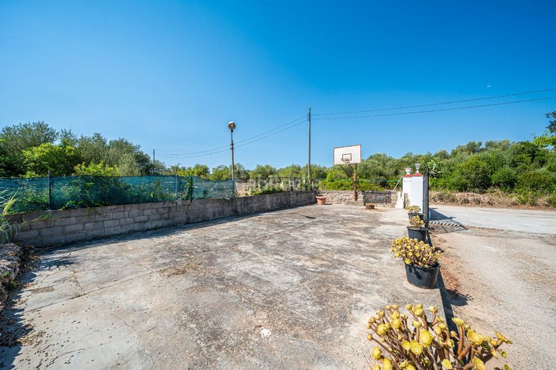 Foto c5509451-e685-4a6c-9520-f5b44c49dfa1. Masia a Algaida