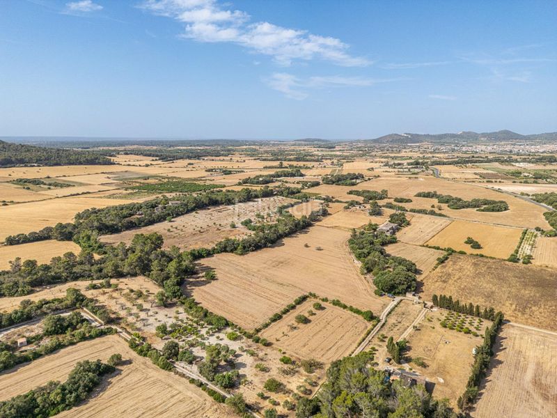 Foto 1320e3e7-53b5-4603-89d9-deb7bd763e42. Finca rústica en diseminado son mora 199 conjunto de parcelas rústicas en venta (mallorca) – zona son mora en Porreres