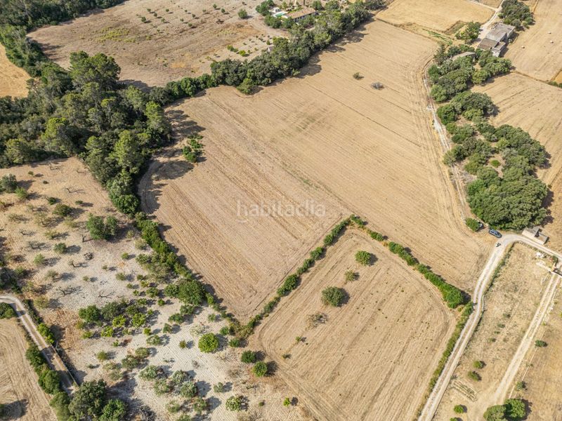 Foto 25e94389-177e-46e4-8577-ae47050c7fef. Finca rústica en diseminado son mora 199 conjunto de parcelas rústicas en venta (mallorca) – zona son mora en Porreres