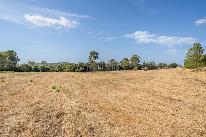 Foto 41656df4-b2ca-4f0c-b84d-0e4b277f67ff. Finca rústica en diseminado son mora 199 conjunto de parcelas rústicas en venta (mallorca) – zona son mora en Porreres