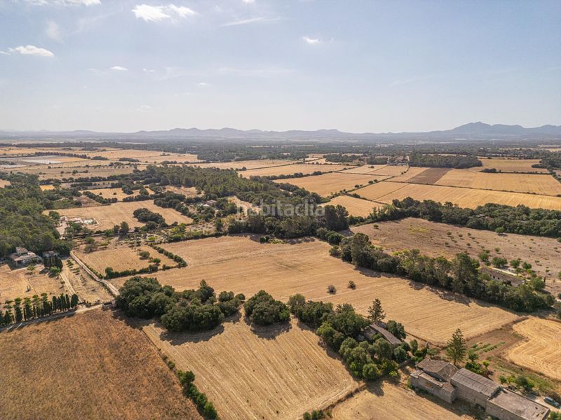 Foto 42da824f-44ca-48f0-8cf1-98cfbc5433d4. Finca rústica en diseminado son mora 199 conjunto de parcelas rústicas en venta (mallorca) – zona son mora en Porreres