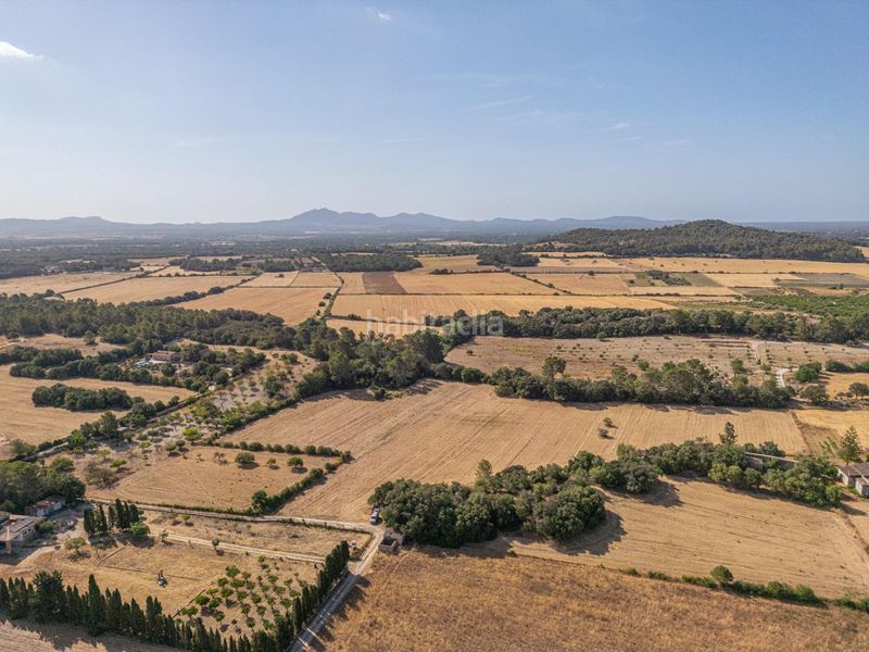 Foto 67d9e1b6-93ba-4dab-89e1-4f244459dc6a. Finca rústica en diseminado son mora 199 conjunto de parcelas rústicas en venta (mallorca) – zona son mora en Porreres
