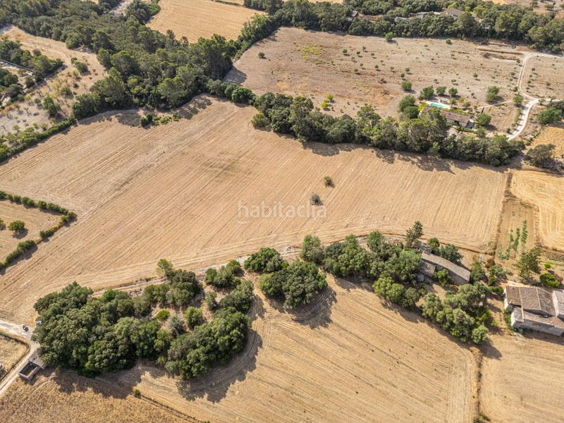 Foto 77b7d078-a4ae-42b1-b331-4072f4337e49. Finca rústica en diseminado son mora 199 conjunto de parcelas rústicas en venta (mallorca) – zona son mora en Porreres
