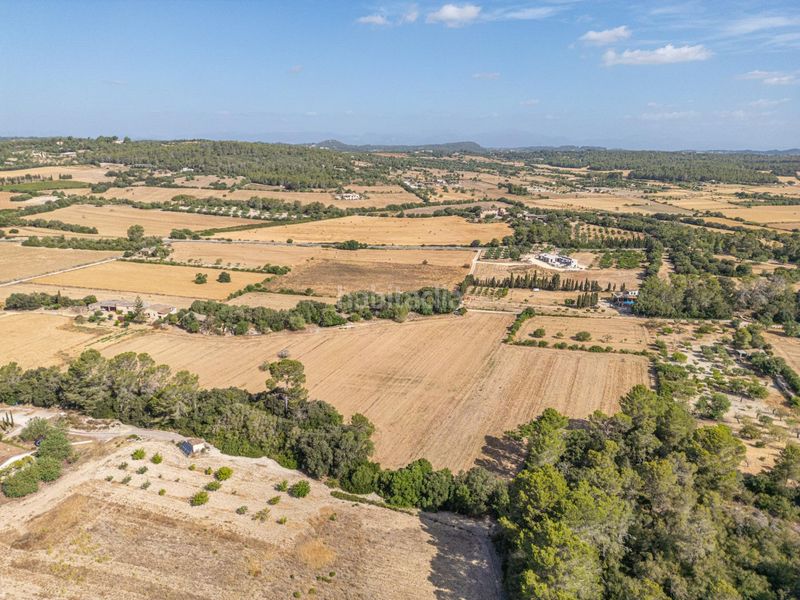 Foto a1492bc1-efaa-43aa-b74b-e293ea4d02e5. Finca rústica en diseminado son mora 199 conjunto de parcelas rústicas en venta (mallorca) – zona son mora en Porreres