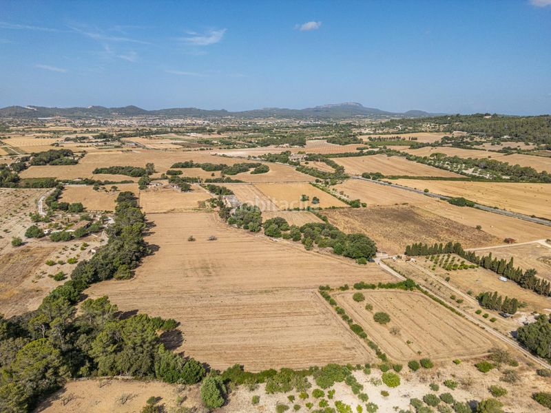 Foto c1173afd-9b2e-4ada-8db1-672bc95a2a21. Finca rústica en diseminado son mora 199 conjunto de parcelas rústicas en venta (mallorca) – zona son mora en Porreres