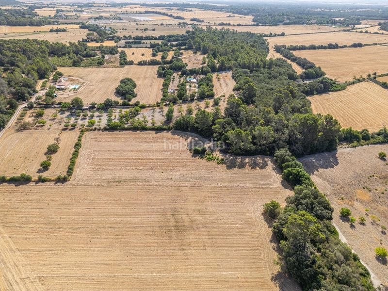 Foto d5fce04e-c817-47bb-96ed-e99aae77d80b. Finca rústica en diseminado son mora 199 conjunto de parcelas rústicas en venta (mallorca) – zona son mora en Porreres
