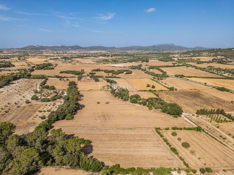 Foto e7b269e3-5337-4198-939a-da3ca3e5eec2. Finca rústica en diseminado son mora 199 conjunto de parcelas rústicas en venta (mallorca) – zona son mora en Porreres