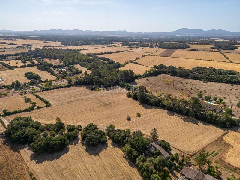 Foto ee11a32c-c67f-4439-ba18-83da16fd0bec. Finca rústica en diseminado son mora 199 conjunto de parcelas rústicas en venta (mallorca) – zona son mora en Porreres
