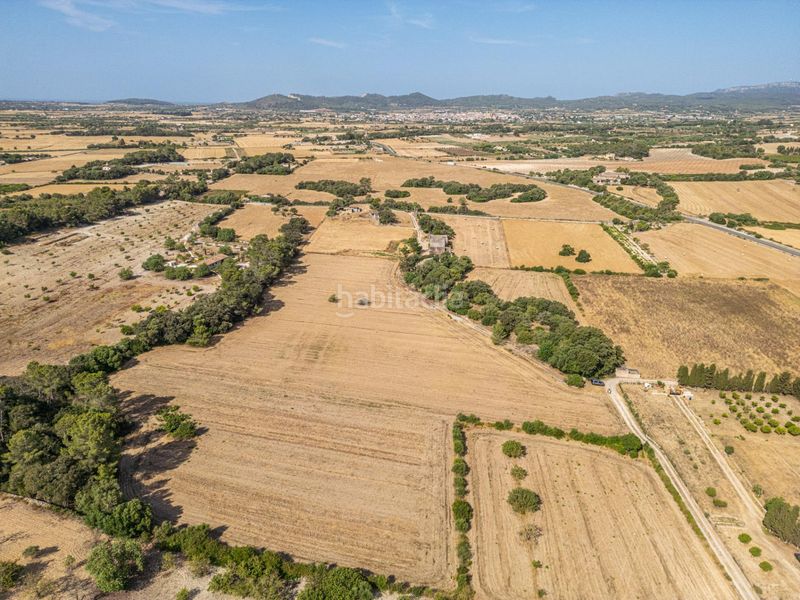 Foto f35108b2-e8fe-44ae-8331-9ca11211ba9c. Finca rústica en diseminado son mora 199 conjunto de parcelas rústicas en venta (mallorca) – zona son mora en Porreres