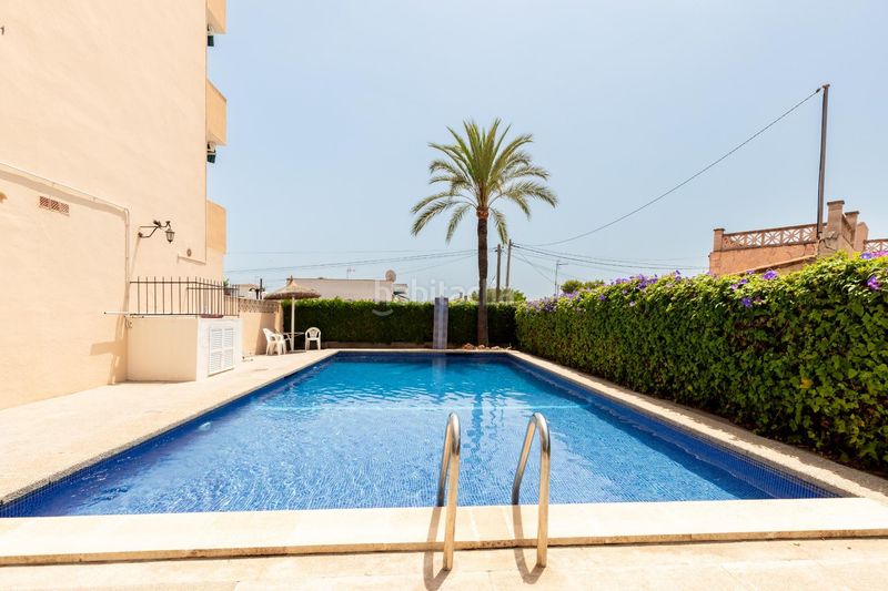 Foto 918c859c-46af-46d0-a0ed-b227e484d076. Pis a Cala Millor Son Servera