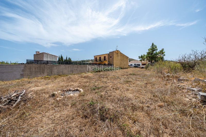 Foto 10b95c30-8706-4552-8745-e19d8d8467e8. Finca rústica a Sant Llorenç des Cardassar