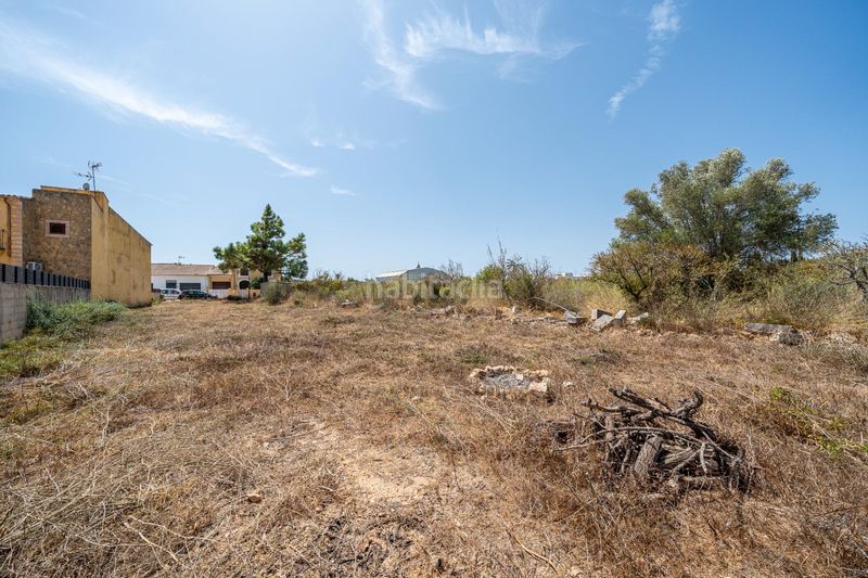 Foto a0521895-07d3-4c4a-befc-96f30dd3ee83. Finca rústica a Sant Llorenç des Cardassar