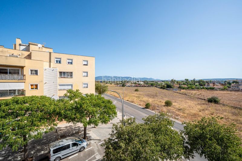 Foto f382f1af-e3fa-4475-86b4-f3b1a786c86d. Pis a Son Cladera Palma de Mallorca