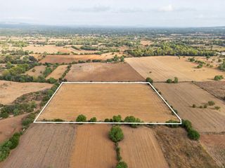 Rural plot in Felanitx Poble. Finca rústica de 21.310 m² en cas concos, felanitx dos parcelas