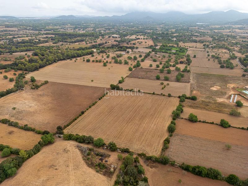 Foto 18a950b8-1a65-48a1-bdab-cbc4b7dd4bd5. Finca rústica a Felanitx poble Felanitx