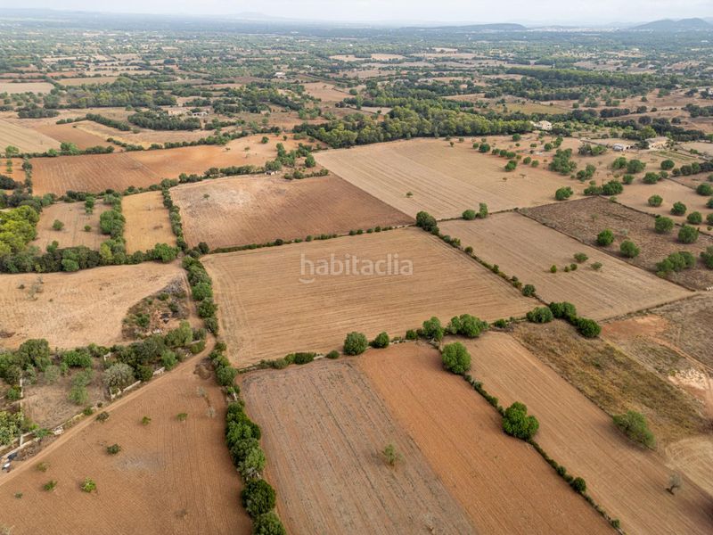 Foto 498cd8b1-2e84-49c8-b2b2-935165efa3a3. Finca rústica a Felanitx poble Felanitx