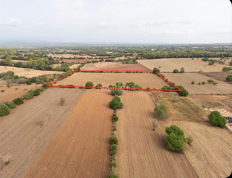 Foto 65cc0b6d-2a37-4bd6-b04e-2a600a298869. Finca rústica a Felanitx poble Felanitx