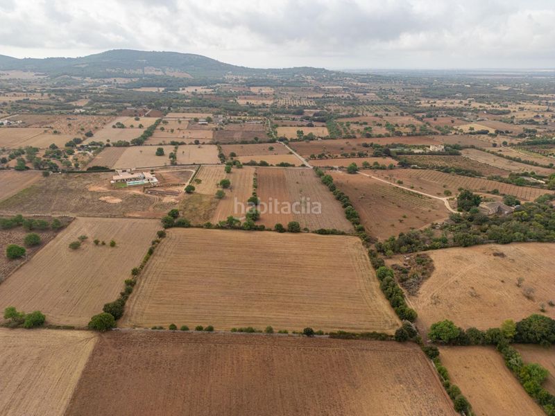 Foto 6d05d708-77b3-44c2-bbef-d163a15f55c9. Finca rústica a Felanitx poble Felanitx