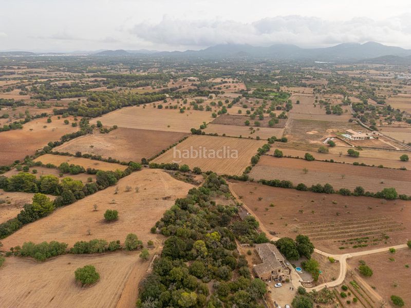 Foto 6e9972b2-75bc-4452-b88b-075f2158978e. Finca rústica a Felanitx poble Felanitx