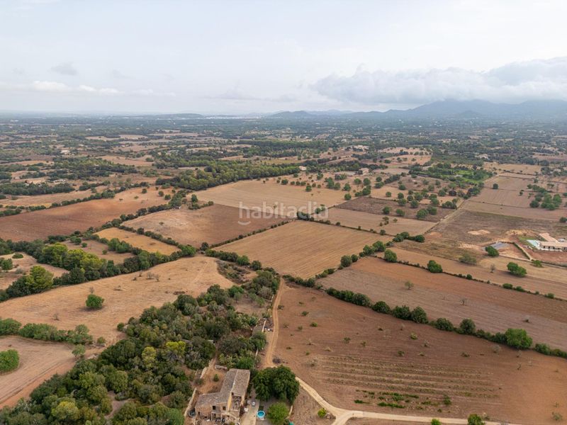 Foto 9822ab5d-844d-4066-bed8-7a552049f318. Finca rústica a Felanitx poble Felanitx