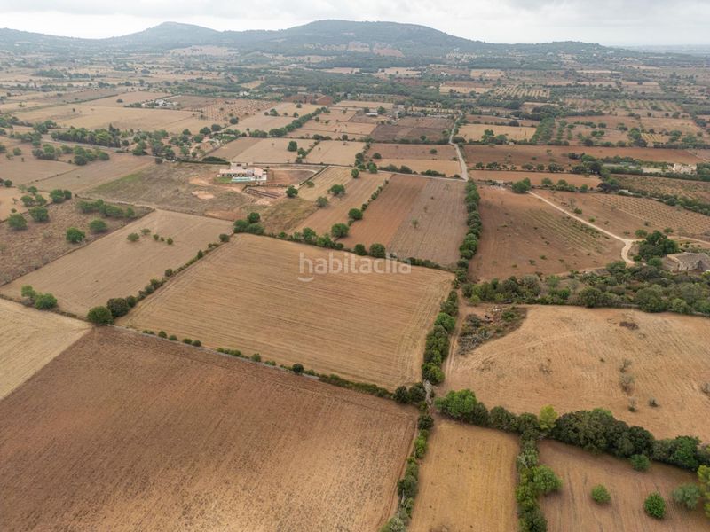 Foto e21284e8-990e-4f05-b2ba-1b718c4cde01. Finca rústica a Felanitx poble Felanitx