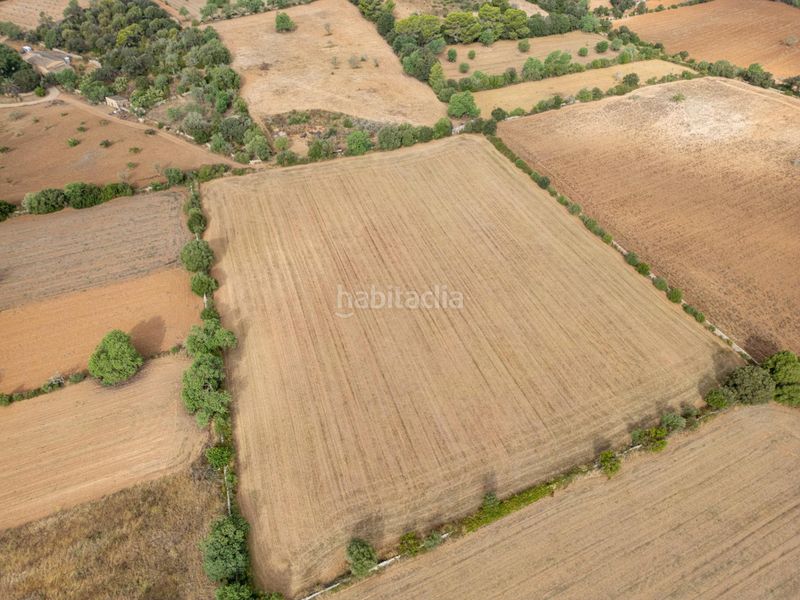 Foto ebb0304e-f1e2-4455-85ee-89b1ec7d884c. Finca rústica a Felanitx poble Felanitx