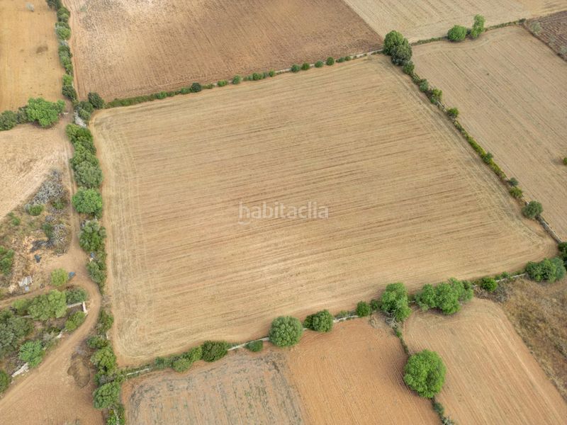 Foto ecae2cac-1bf7-4f6b-a1e9-bd84fe404c9a. Finca rústica a Felanitx poble Felanitx