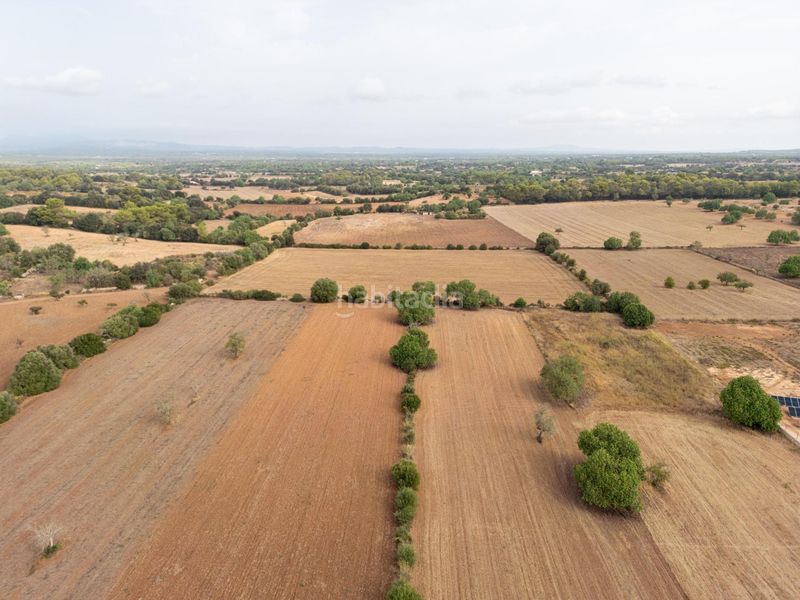 Foto f78a1a34-25b1-464a-abea-067be6998b42. Finca rústica a Felanitx poble Felanitx