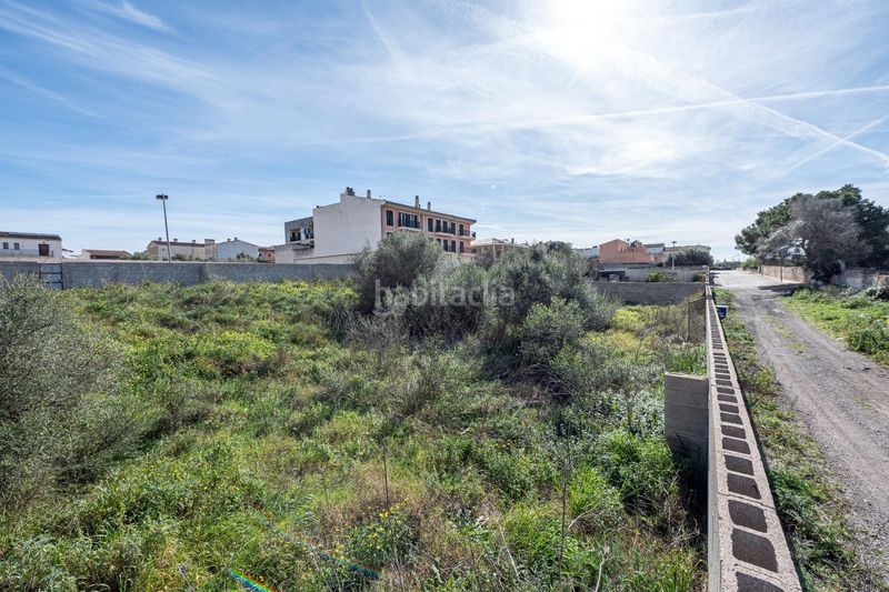 Foto 1e9131da-6610-4345-adef-4a40e4e677cf. Finca rústica a Muro