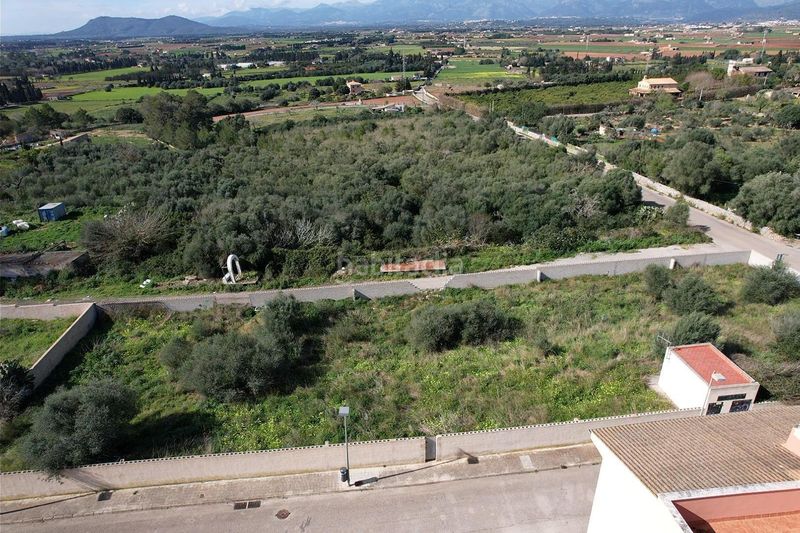 Foto ab5224f3-5a1c-4b0c-883d-f604386084b4. Finca rústica a Muro