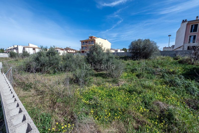 Foto c8fd2206-e42e-4263-bd95-3c9d6d83b51d. Finca rústica a Muro