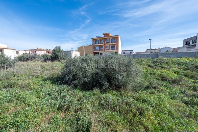 Foto eed3404f-5e8e-4378-ad6d-8ad88daf804a. Finca rústica a Muro
