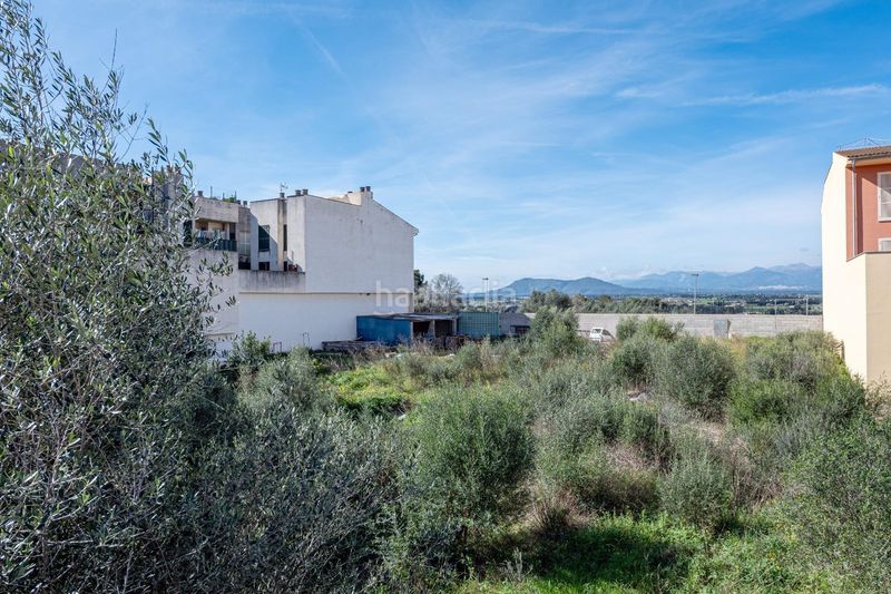 Foto f2d7bb87-6f4a-4093-8052-36158e6422de. Finca rústica a Muro