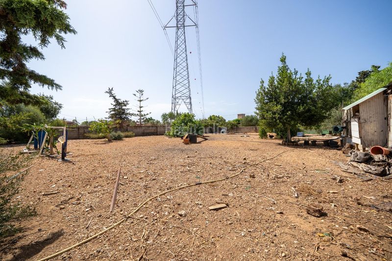 Foto 16206a82-975d-4a07-8da4-e64f24bdb059. Masía propiedad con terreno, estudio independiente y piscina en Palma de Mallorca