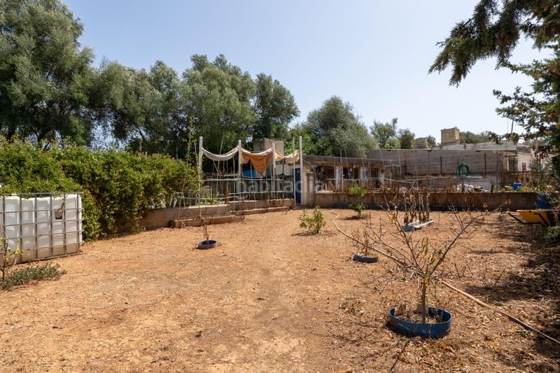 Foto 881457f8-48e7-44fe-ad81-895625026e3a. Masía propiedad con terreno, estudio independiente y piscina en Palma de Mallorca