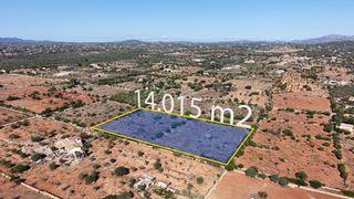 Rural plot in Manacor Centre