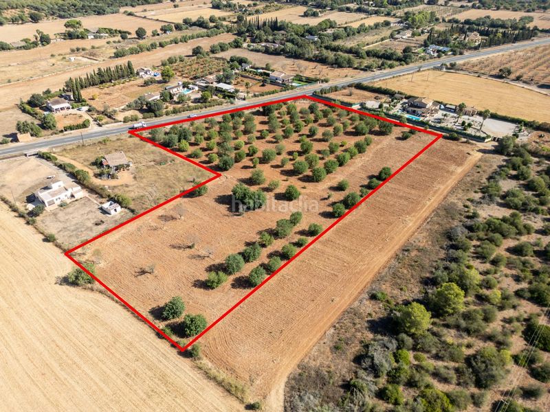 Foto 12a39c06-5c35-44e6-908b-cf77bd2e4104. Terreno residencial se vende terreno rústico urbanizable con proyecto básico de construcción en Sencelles