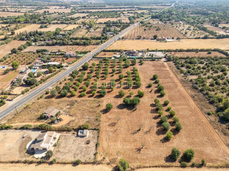 Foto 254b75eb-e40b-489b-82bc-86d85c352dfc. Terreno residencial se vende terreno rústico urbanizable con proyecto básico de construcción en Sencelles