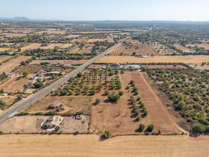 Foto 36f50d16-248f-40f9-9903-b9f30746c625. Terreno residencial se vende terreno rústico urbanizable con proyecto básico de construcción en Sencelles