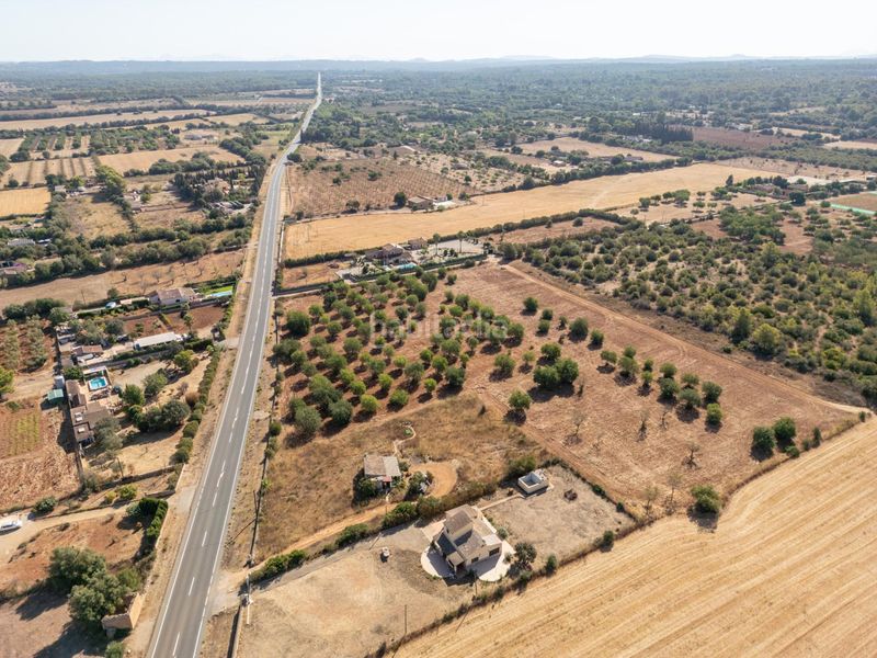 Foto 387ef058-bc8a-47fa-9639-574fc2e7d497. Terreno residencial se vende terreno rústico urbanizable con proyecto básico de construcción en Sencelles