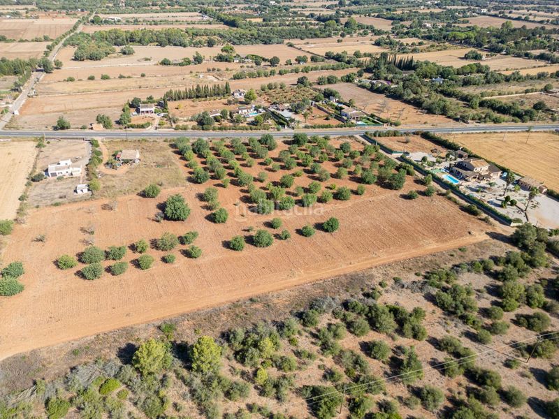 Foto 402b56d3-a966-4410-8665-6b86c3426128. Terreno residencial se vende terreno rústico urbanizable con proyecto básico de construcción en Sencelles