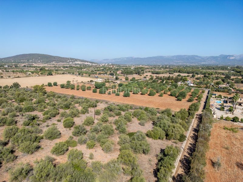 Foto 6659ca08-7706-47c3-af35-ab2dc5518138. Terreno residencial se vende terreno rústico urbanizable con proyecto básico de construcción en Sencelles
