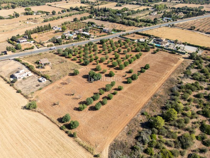 Foto 6bfadb4f-2df9-43d5-b19e-8928e2100468. Terreno residencial se vende terreno rústico urbanizable con proyecto básico de construcción en Sencelles
