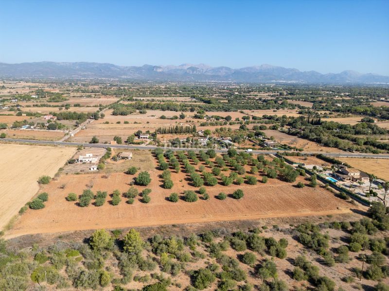 Foto 84689399-f9ec-4a85-9892-39111792b3c6. Terreno residencial se vende terreno rústico urbanizable con proyecto básico de construcción en Sencelles